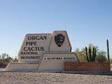 32 Organ Pipe Cactus NM 01